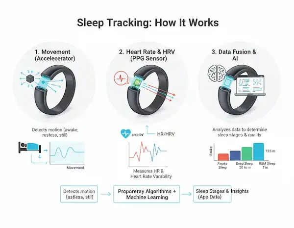 Smart Ring Fitness Tracking Accuracy